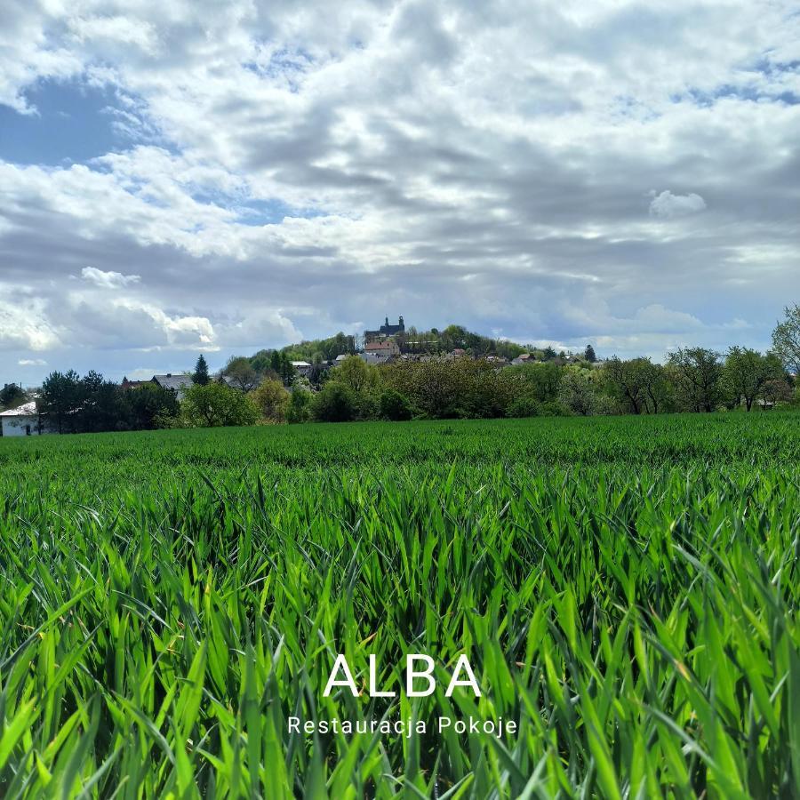 Alba Gora Sw Anny Restauracja I Pokoje Hotel Gora Swietej Anny ภายนอก รูปภาพ